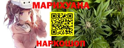 сатива Обнинск