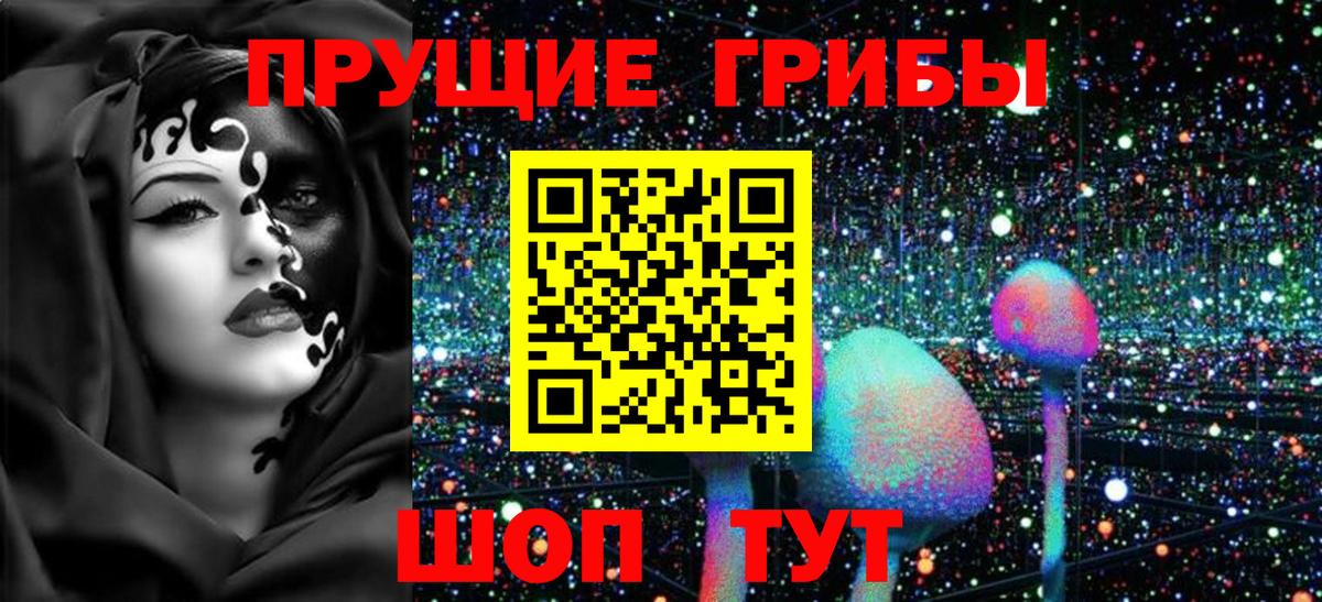 Галлюциногенные грибы MAGIC MUSHROOMS  Вход с VPN  Сорочинск 