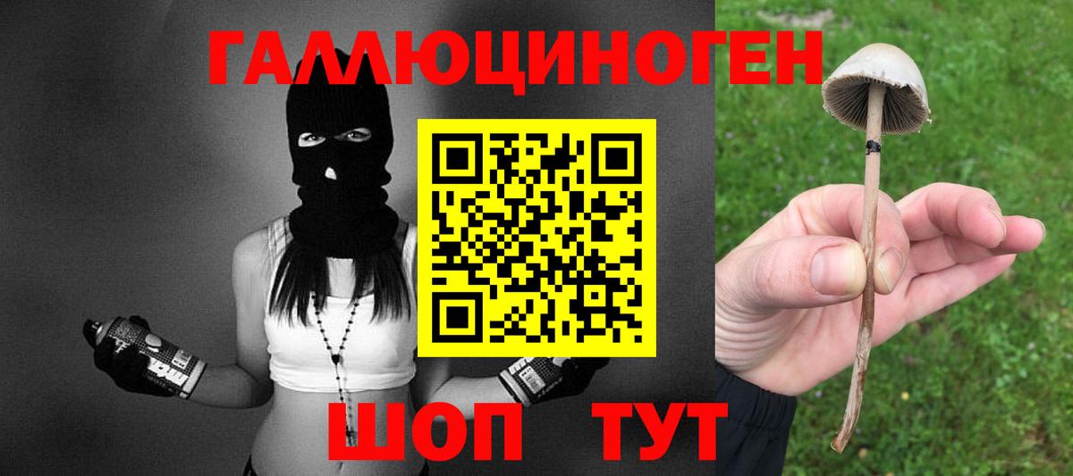 Галлюциногенные грибы прущие грибы Сорочинск